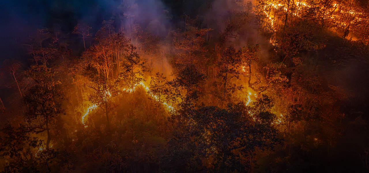 SimpliGO DPP DMN&#039;s Roles-based Workflow Dashboards